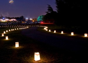 candle-bag-path-lights candle bag path lights 300x215